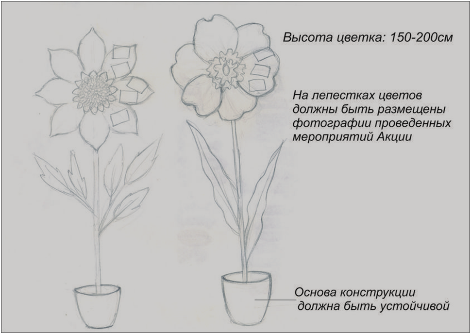 Новый рисунок (1)